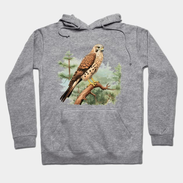 Kestrel Hoodie by zooleisurelife